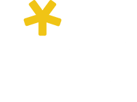 Ting White Logo