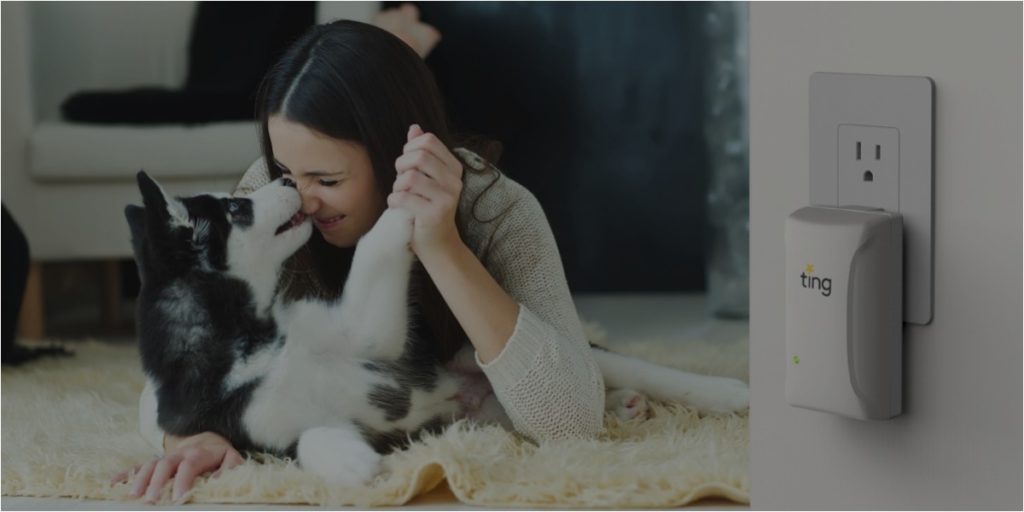 woman dog playing, Ting in wall outlet