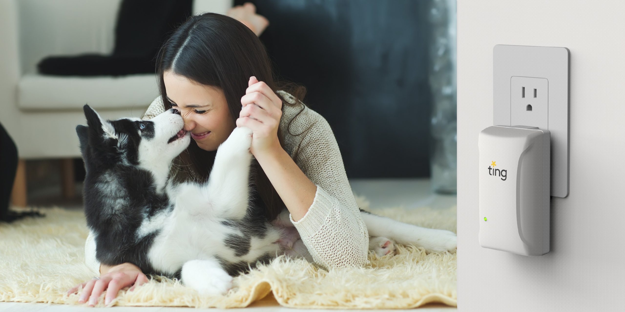 Ting in home Ting in outlet foreground, woman and dog playing on rug background