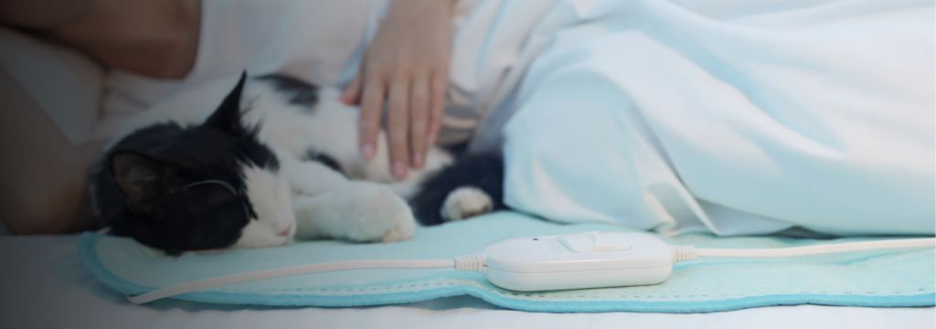 woman laying with cat in bed on heating pad