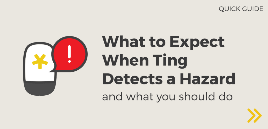 This is a title graphic for what to expect when Ting detects a hazard and what you should do.