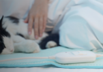 woman laying with cat in bed on heating pad